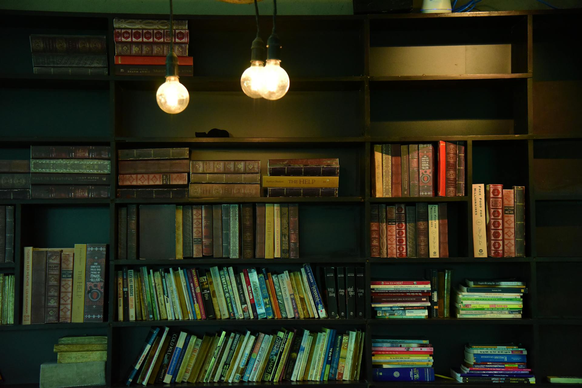 Biblioteka